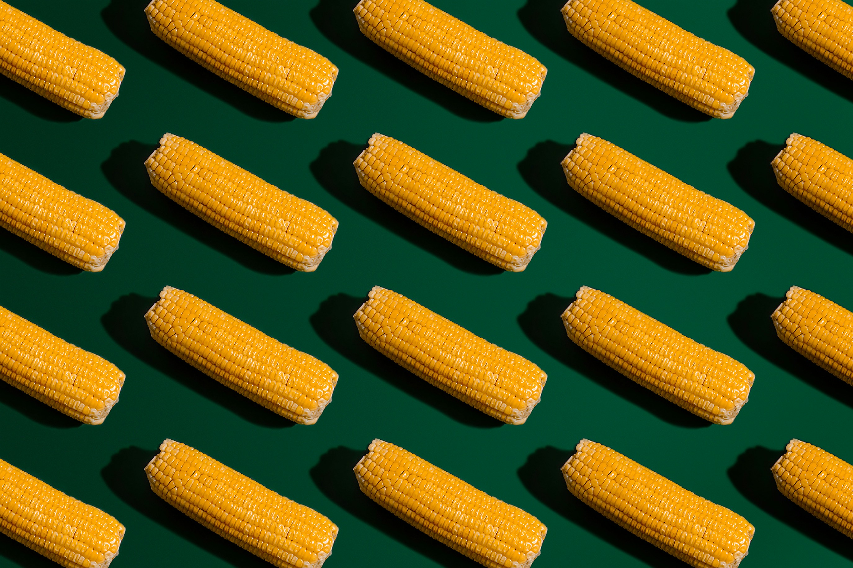 Global Crop Yield of Corn for 2028?