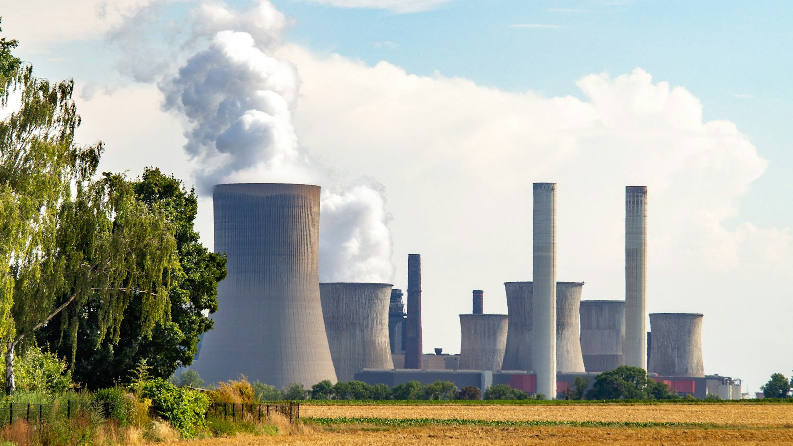 Total Consumption of Coal in California in August 2026?