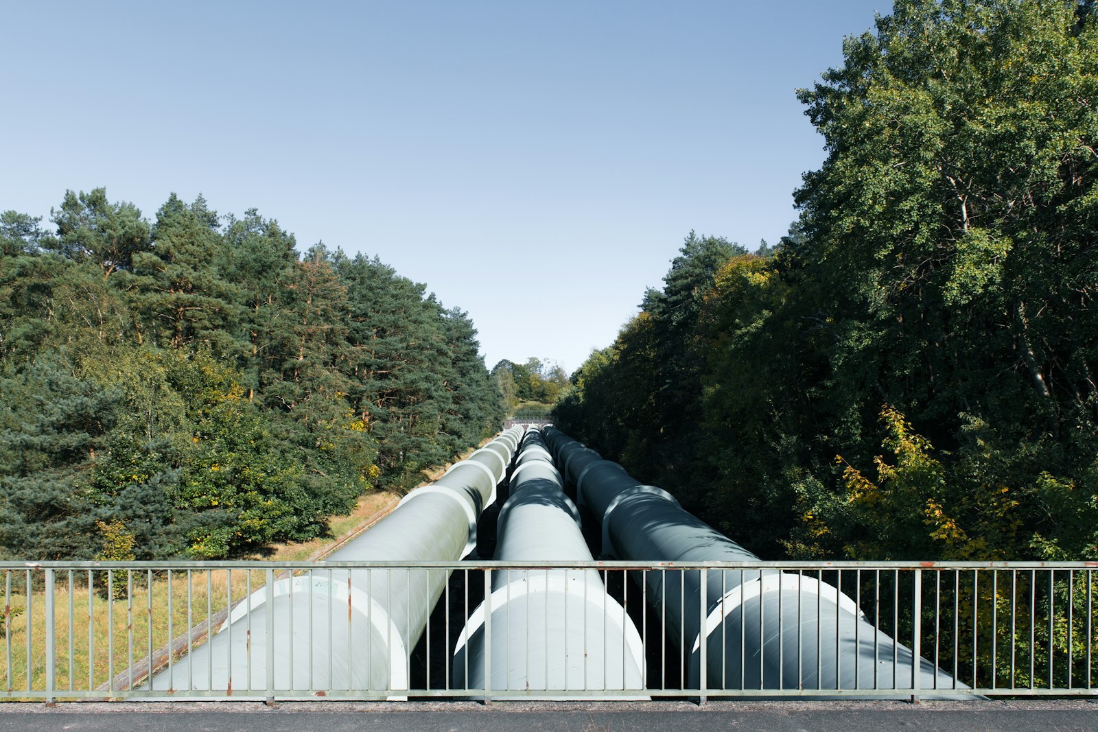 US Natural Gas Production in August 2026?