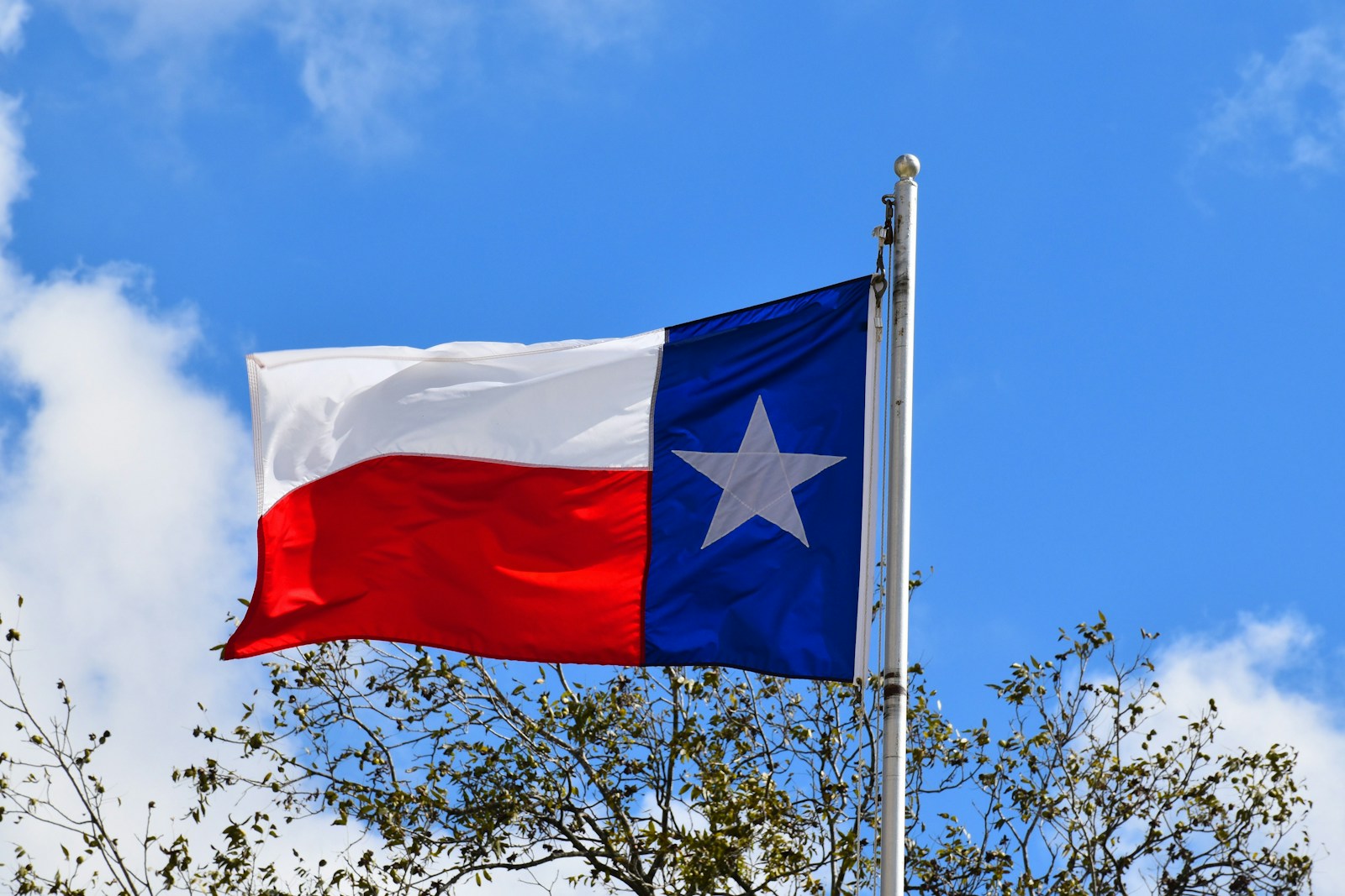 Texas Sales Tax Revenue in Q4 2026?