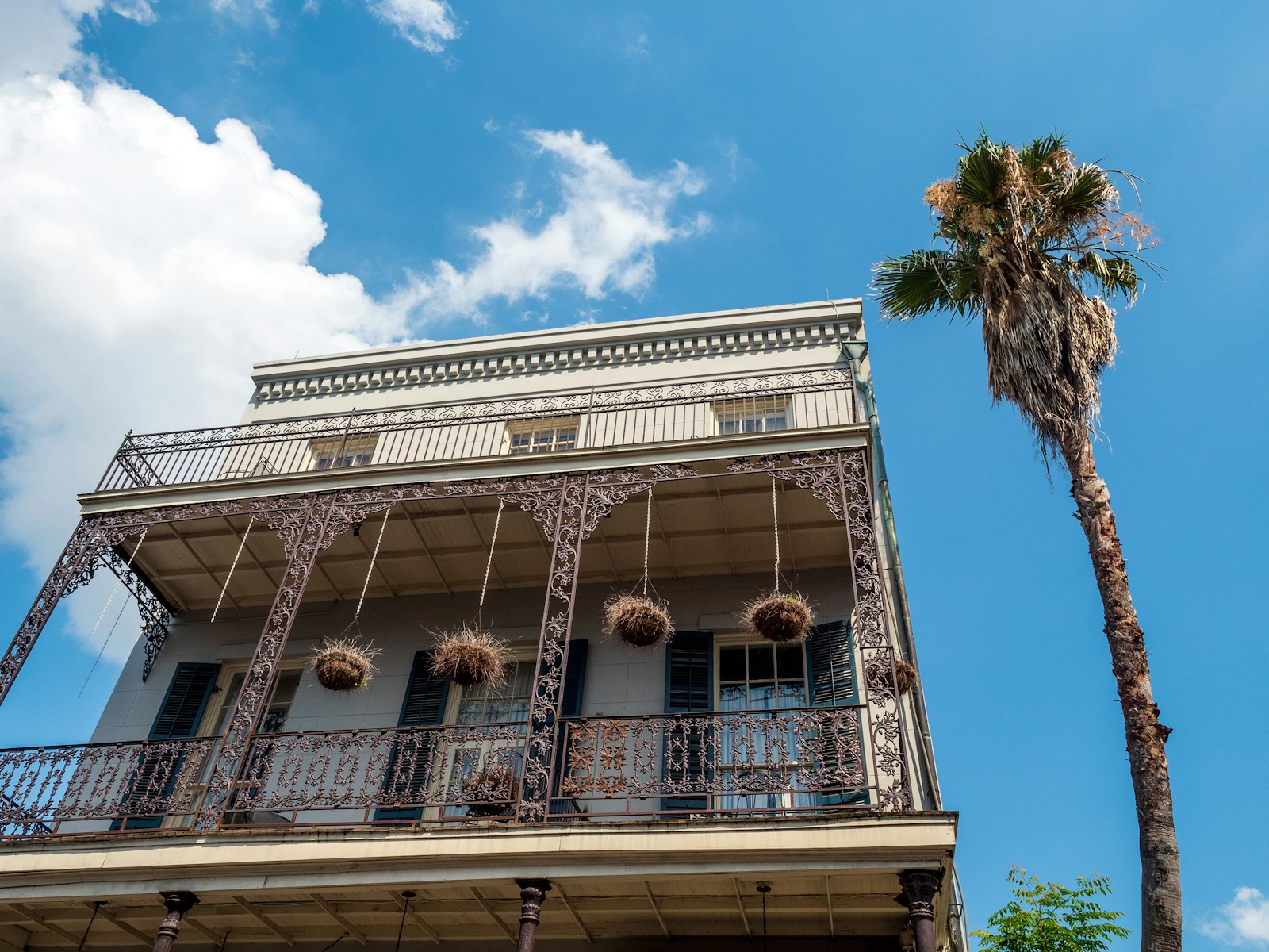 New Orleans Daily Temperature High on October 1, 2026?